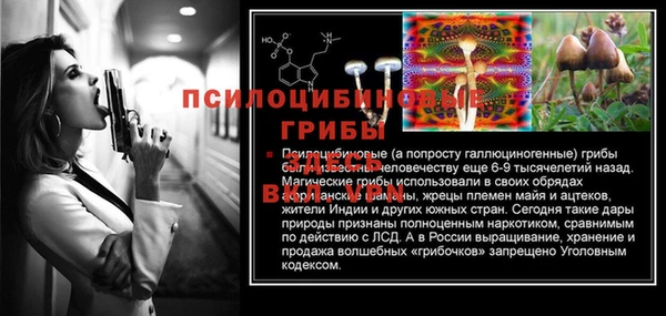 первитин Верхний Тагил