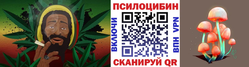 Псилоцибиновые грибы Magic Shrooms  Карабаш 